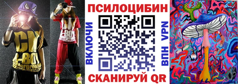 цена   Тольятти  Галлюциногенные грибы Cubensis 